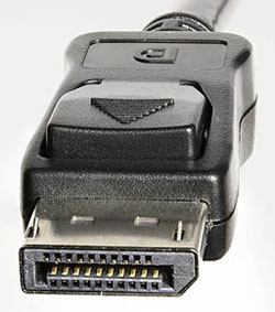 DisplayPort (DP) - Male